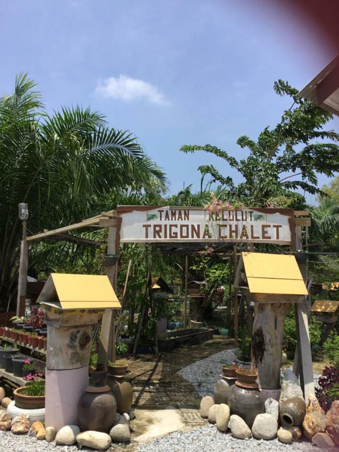 ホテルTrigona Chalet マラン エクステリア 写真
